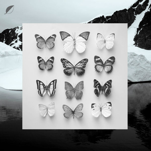Christian Löffler|Young Alaska Christian Löffler|Young Alaska