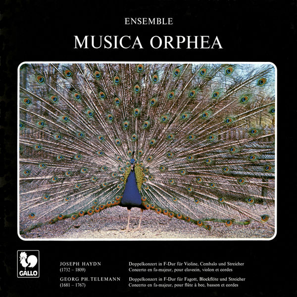 Musica Orphea|Haydn: Double Concerto in F Major, Hob. XVIII:6 - Telemann: Concerto for Recorder and Bassoon in F Major, TWV 52:F1 Musica Orphea|Haydn: Double Concerto in F Major, Hob. XVIII:6 - Telemann: Concerto for Recorder and Bassoon in F Major, TWV 52:F1