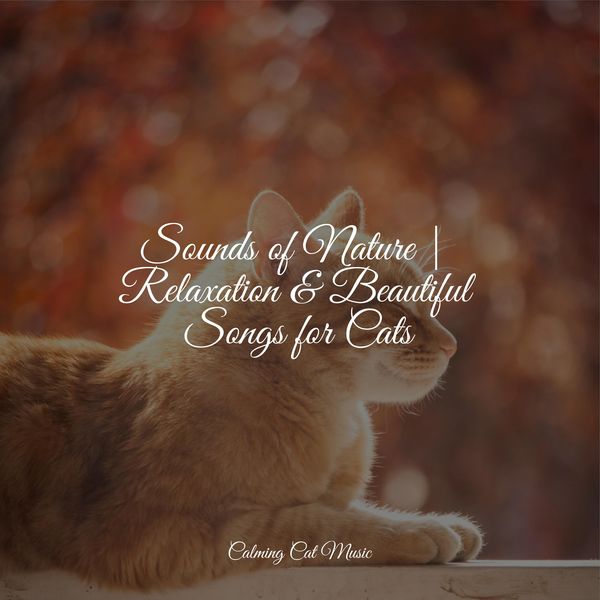 Sounds Of Nature