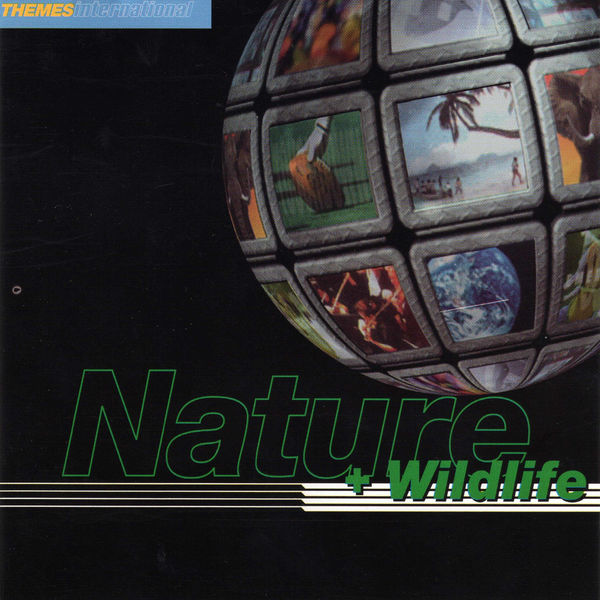 Paddy Kingsland - Nature and Wildlife Paddy Kingsland - Nature and Wildlife