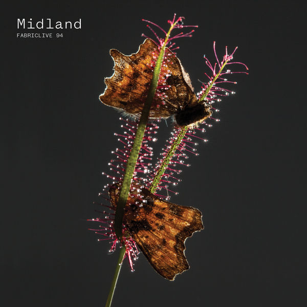 Midland - FABRICLIVE 94: Midland Midland - FABRICLIVE 94: Midland