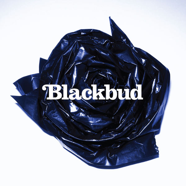 BlackBud - Blackbud BlackBud - Blackbud