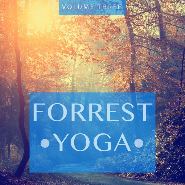 Various Artists|Forrest Yoga, Vol. 3 (Feel The Inner Power And Refresh Your Soul And Mind)