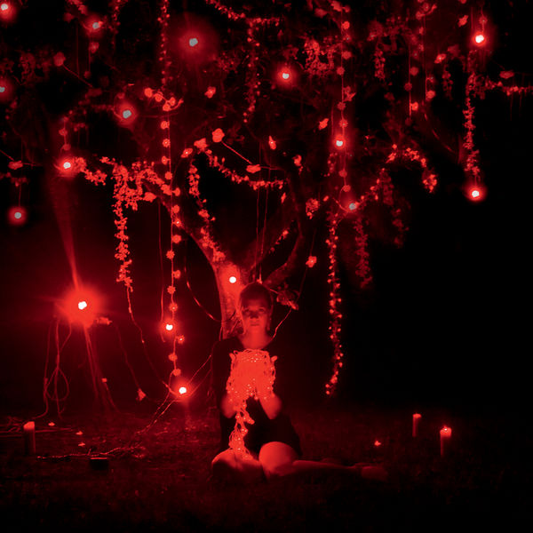 Sophie Hunger - The Danger Of Light Sophie Hunger - The Danger Of Light