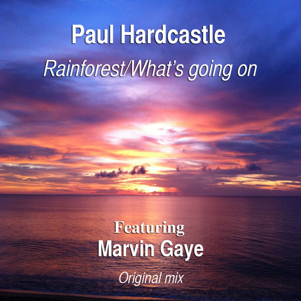Marvin Gaye - Rainforest/What's Going On Marvin Gaye - Rainforest/What's Going On