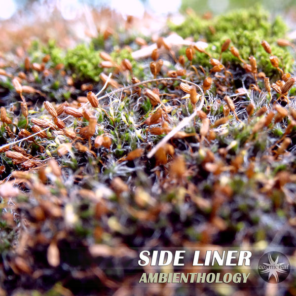 Side Liner - Ambienthology Side Liner - Ambienthology