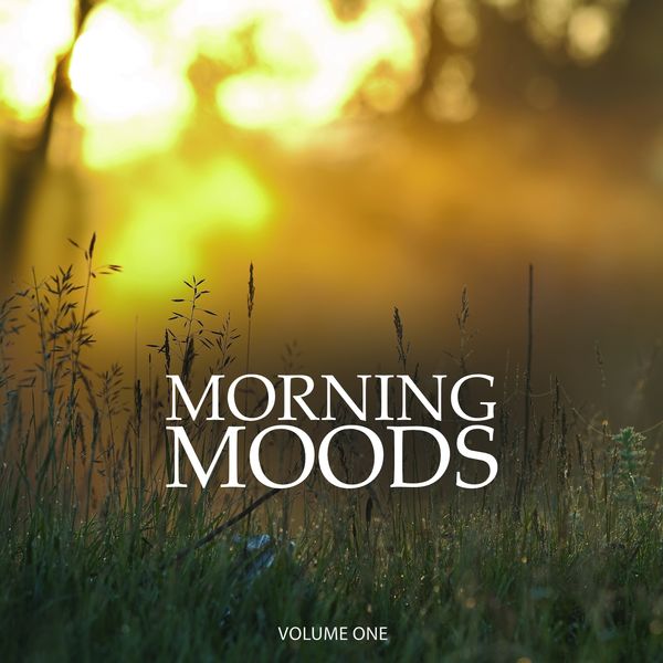 Various Artists - Morning Moods, Vol. 1 (Wonderful Chill Out & Down Beat Background Music For Cafe, Restaurant And Bar) Various Artists - Morning Moods, Vol. 1 (Wonderful Chill Out & Down Beat Background Music For Cafe, Restaurant And Bar)