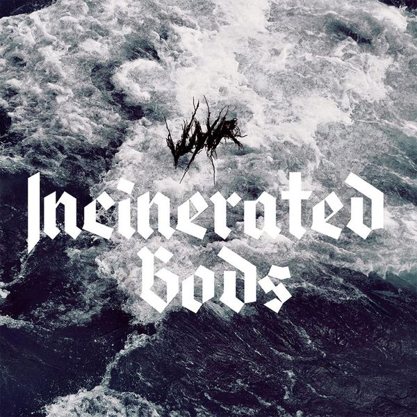 Vuyvr - Incinerated Gods Vuyvr - Incinerated Gods