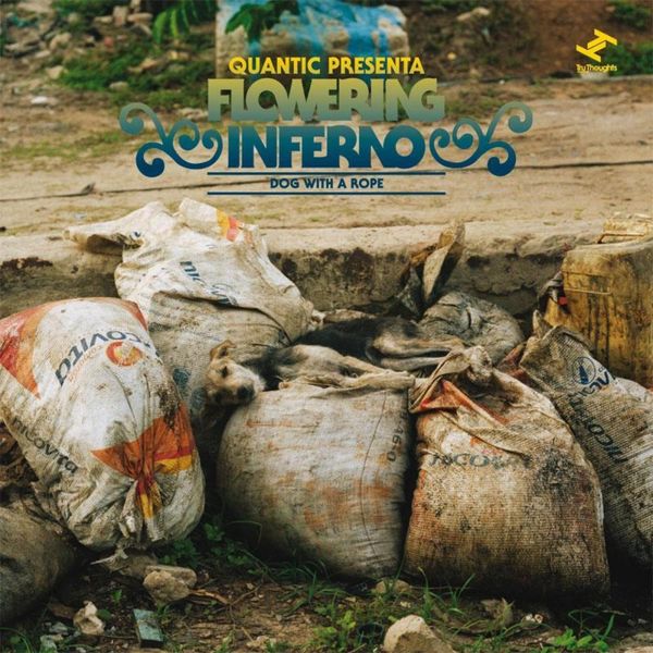 Quantic, Flowering Inferno - Dog With a Rope Quantic, Flowering Inferno - Dog With a Rope