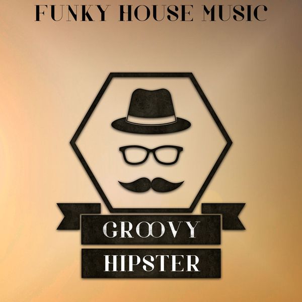 Various Artists|Groovy Hipster, Vol. 1 (Funky House Music)