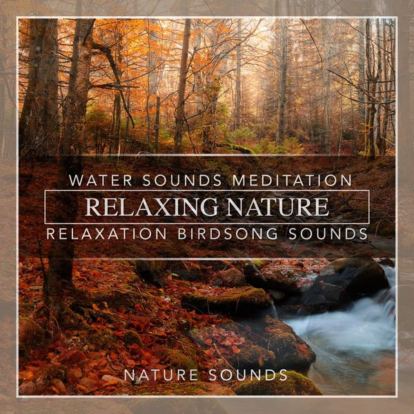 Nature Sounds|Relaxing Nature Water Sounds Meditation Relaxation Birdsong Sounds