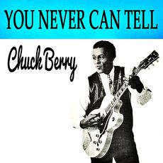 サ*ん様 Chuck Berry ボブルヘッド Chuck Berry ボブルヘッド