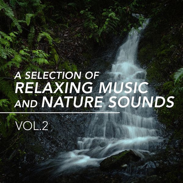 play sounds of nature music