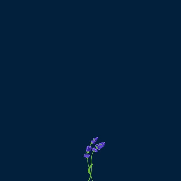 gnash|us gnash|us