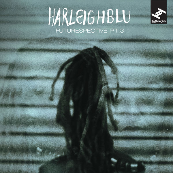 Harleighblu - Futurespective, Pt. 3 Harleighblu - Futurespective, Pt. 3