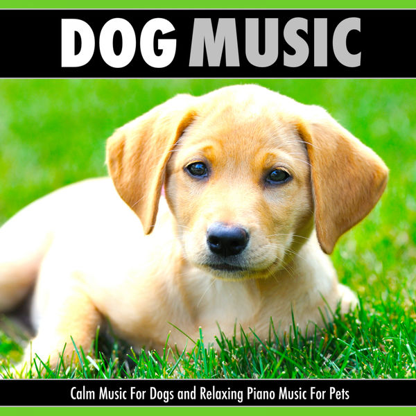 Dog Music|Dog Music: Calm Music For Dogs and Relaxing Piano Music For Pets