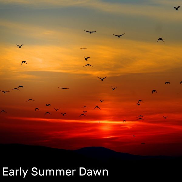 Nature Sounds Relaxation: Music for Sleep, Meditation, Massage Therapy, Spa|Early Summer Dawn