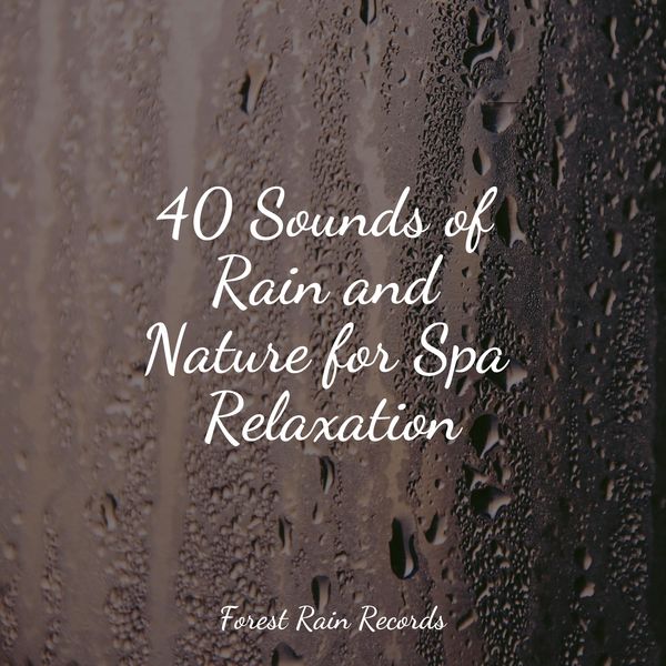 Álbum 40 Sounds of Rain and Nature for Spa Relaxation, Thunder Storm ...