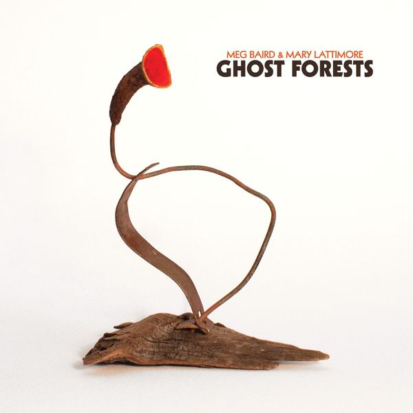 Meg Baird|Ghost Forests