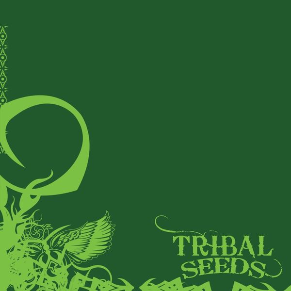 Tribal Seeds|Tribal Seeds