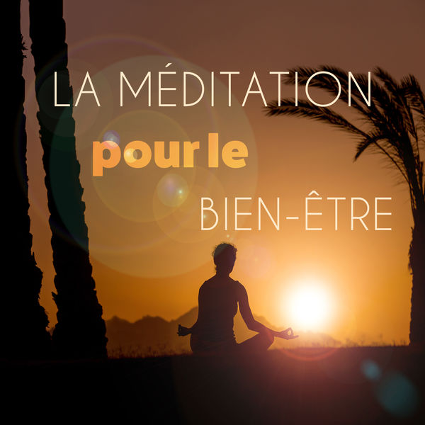 Zen Méditation Ambiance|La méditation pour le bien-être (Musique curative, Soulagement du stress, Paix intérieure et relaxation toute la journée)