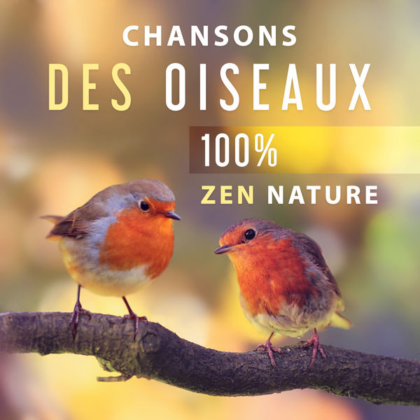 Musique Coeur de la Nature|Chansons des oiseaux - 100% Zen nature musique pour la détente, Tranquillité, Relaxation et pratique de yoga et méditation