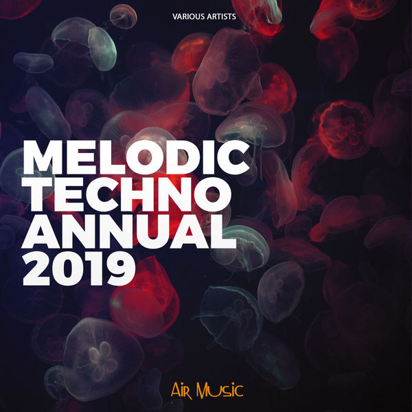 Melodic Techno Annual 2019, Various Artists Qobuz