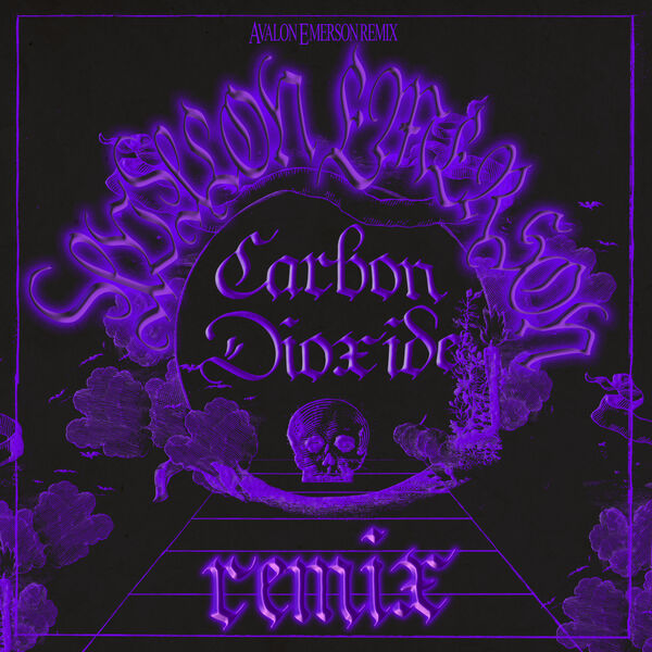 Carbon Dioxide (Avalon Emerson Remix), Fever Ray - Qobuz