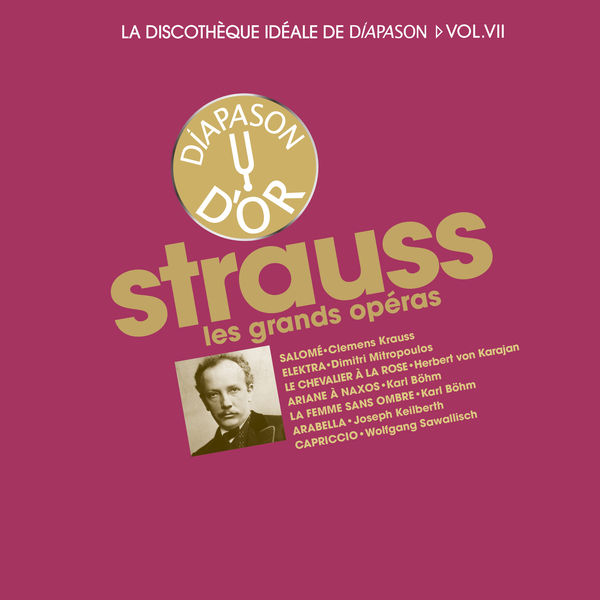 Various Artists - Discothèque idéale Diapason, VII (R. Strauss: Grands opéras) Various Artists - Discothèque idéale Diapason, VII (R. Strauss: Grands opéras)