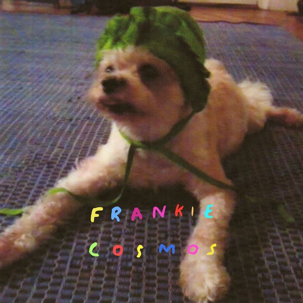 Frankie Cosmos - Zentropy Frankie Cosmos - Zentropy