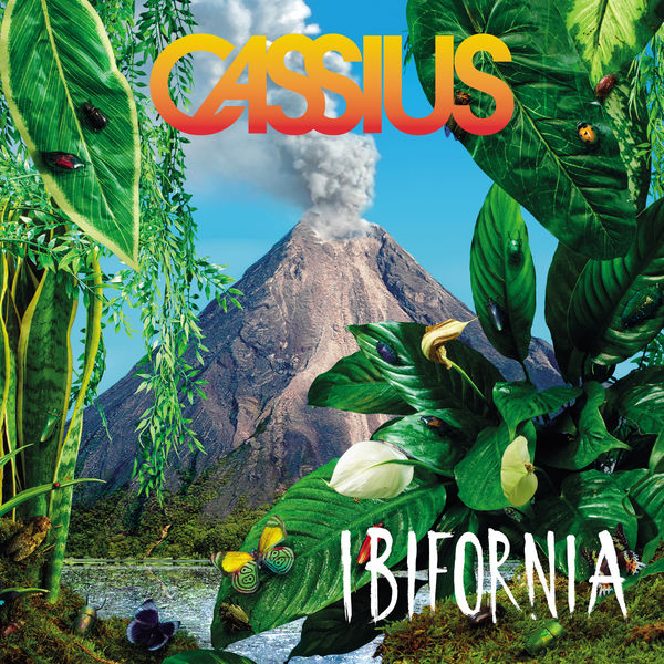 Cassius|Ibifornia Cassius|Ibifornia