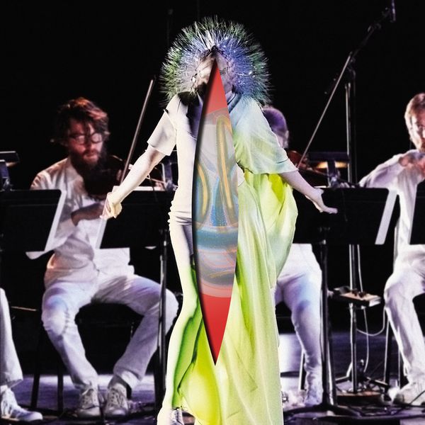 Björk|Vulnicura Strings  (The Acoustic Version: Strings, Voice and Viola Organista Only)