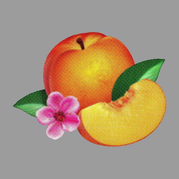 Phoenix|Bankrupt! Phoenix|Bankrupt!