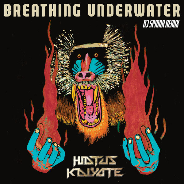 Hiatus Kaiyote|Breathing Underwater  (DJ Spinna Galactic Soul Remix)