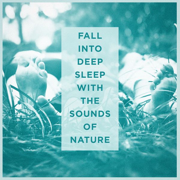 Fall Into Deep Sleep With the Sounds of Nature, Deep Sleep Meditation