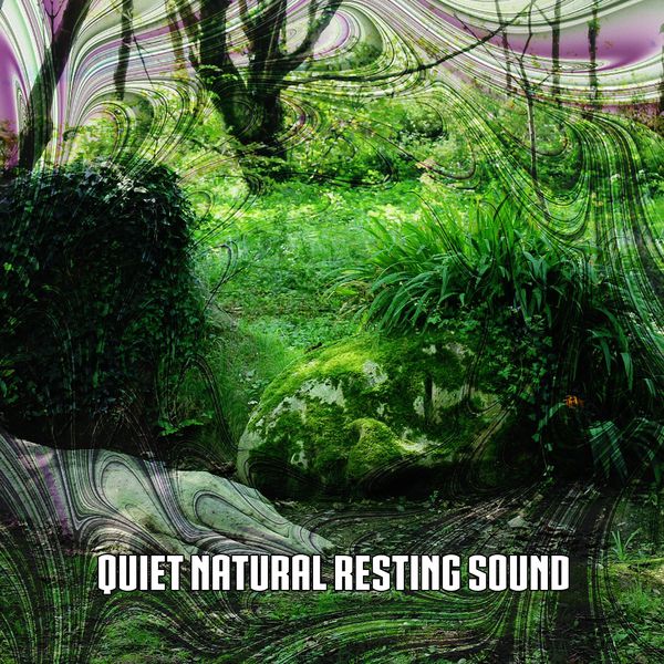 Nature Sounds Nature Music - Quiet Natural Resting Sound Nature Sounds Nature Music - Quiet Natural Resting Sound