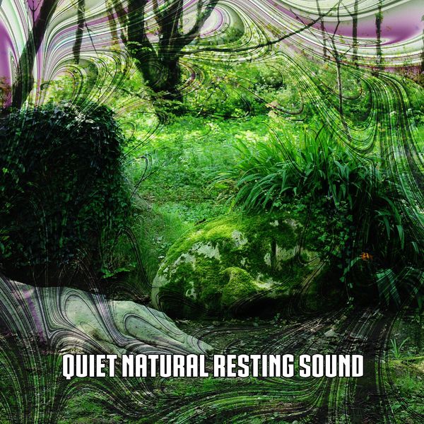 Nature Sounds Nature Music|Quiet Natural Resting Sound