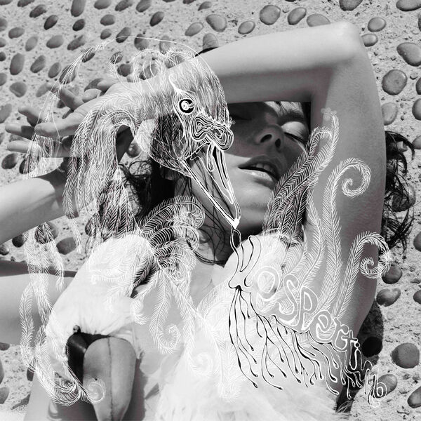 vespertine-björk poster