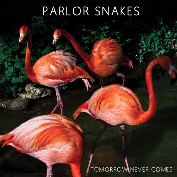Parlor Snakes - Tomorrow Never Comes Parlor Snakes - Tomorrow Never Comes