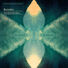 Bonobo The North Borders