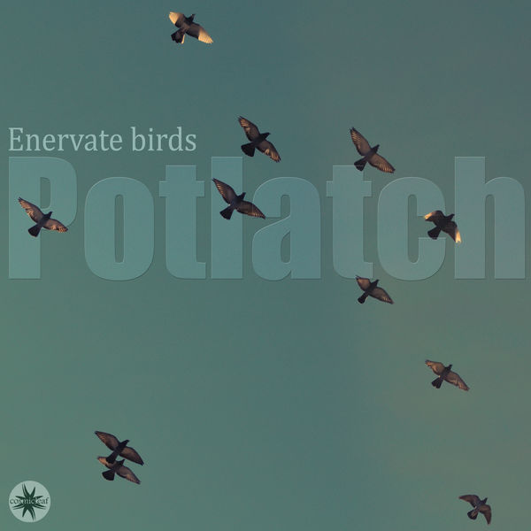 Potlatch - Enervate Birds Potlatch - Enervate Birds