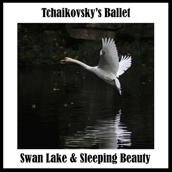 Victor Fedotov|Tchaikovsky's Ballet: Swan Lake & Sleeping Beauty