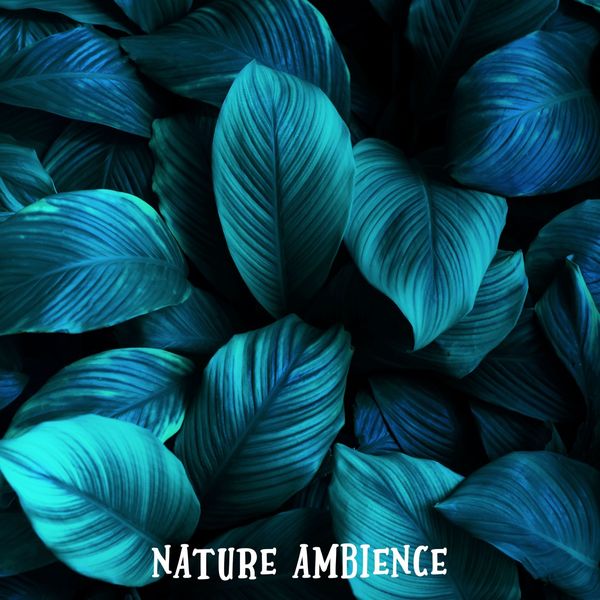 Rain Sounds - Nature Ambience Rain Sounds - Nature Ambience