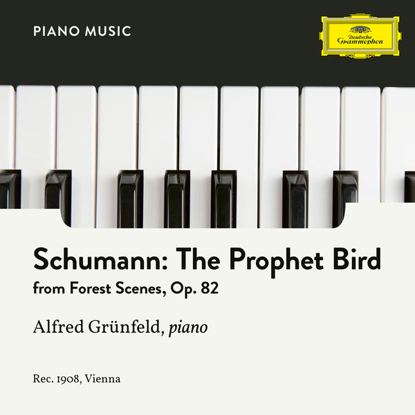 Alfred Grünfeld - Schumann: 7. The Prophet Bird Alfred Grünfeld - Schumann: 7. The Prophet Bird
