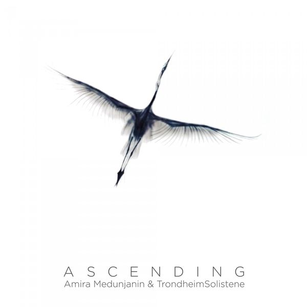 Amira Medunjanin - Ascending Amira Medunjanin - Ascending
