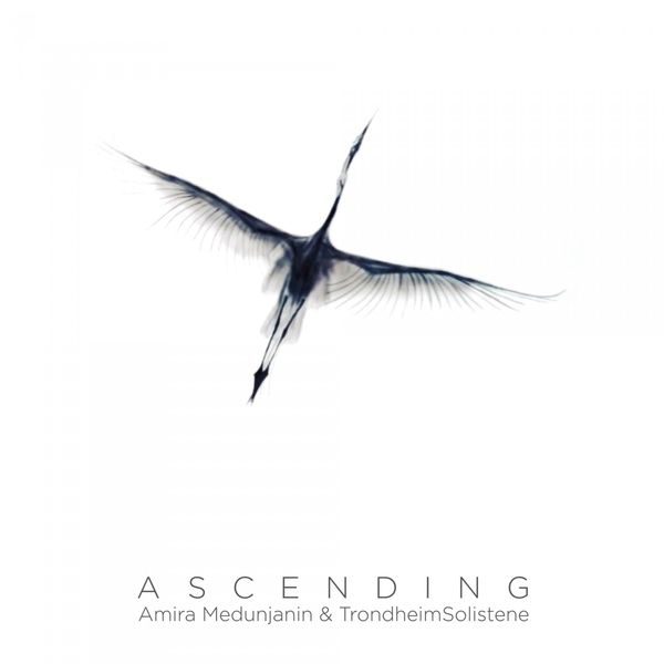 Amira Medunjanin|Ascending