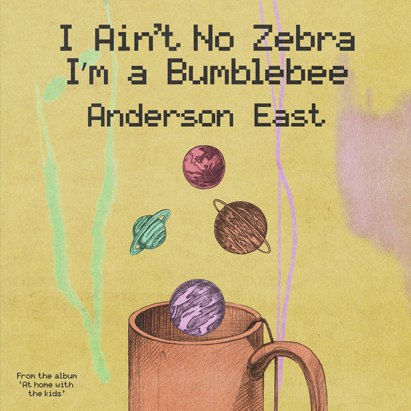 Anderson East|I Ain't No Zebra I'm a Bumblebee