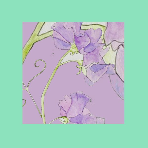 Joviale - Taste Of The Heavens Joviale - Taste Of The Heavens
