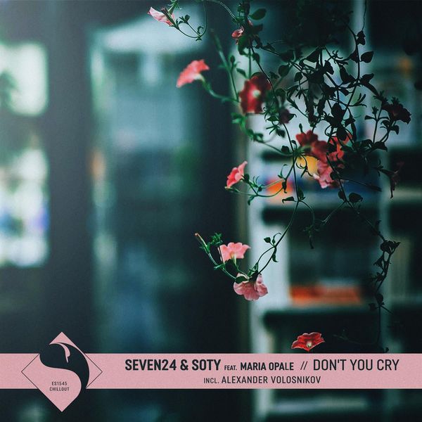 Seven24|Don't You Cry (Alexander Volosnikov Remix)