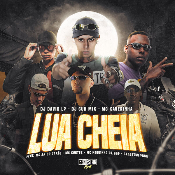 Lua Cheia, DJ David LP - Qobuz